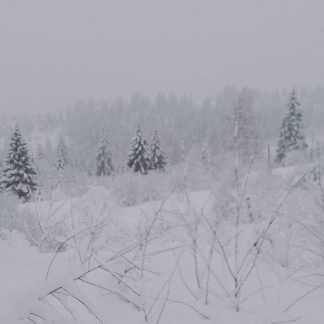 Zacharovany Karpaty Slavske Dış mekan fotoğraf