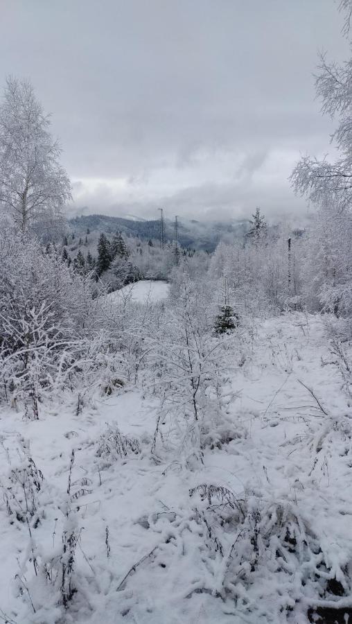 Zacharovany Karpaty Slavske Dış mekan fotoğraf